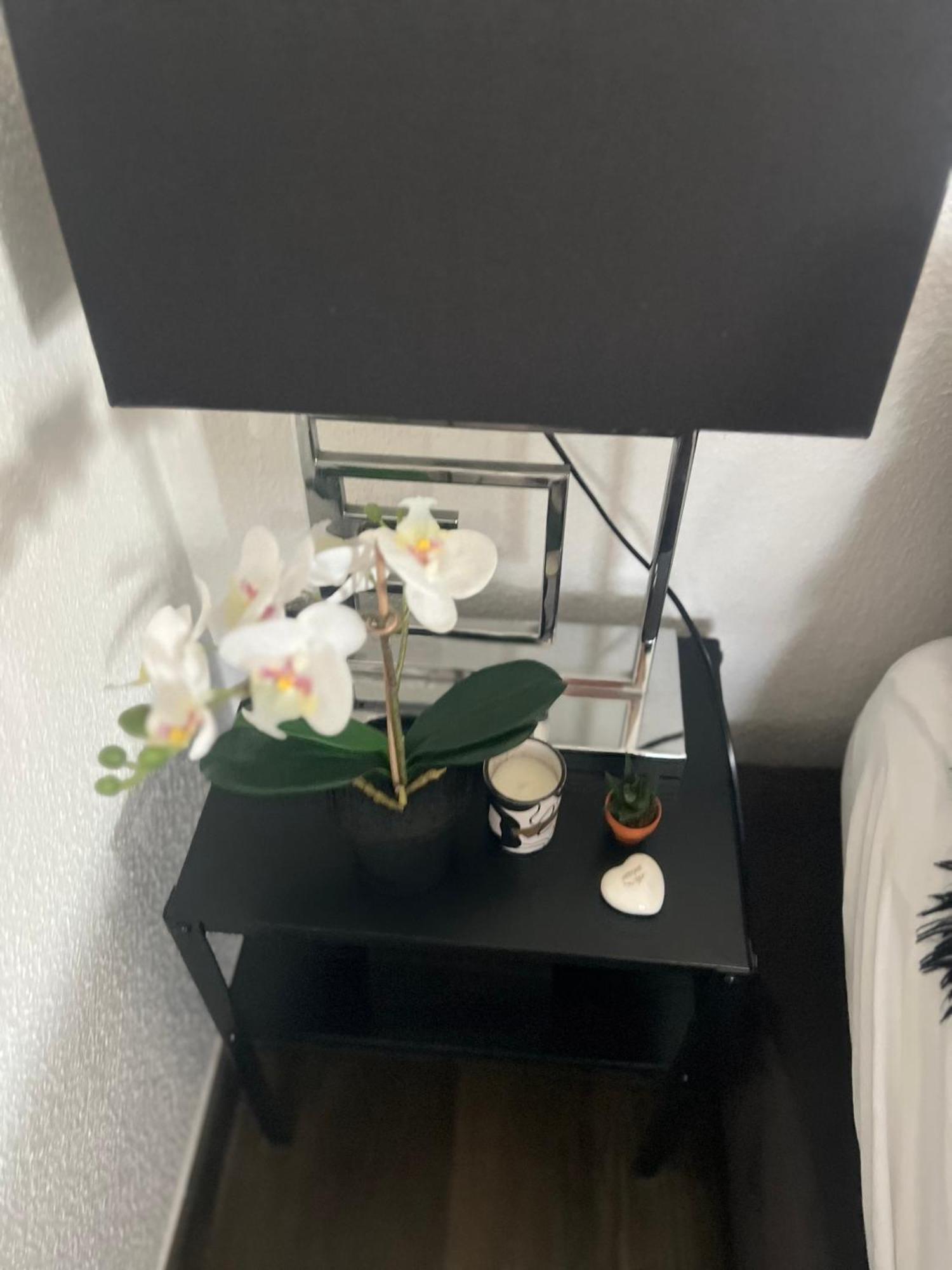 Studio Zurich Extérieur photo